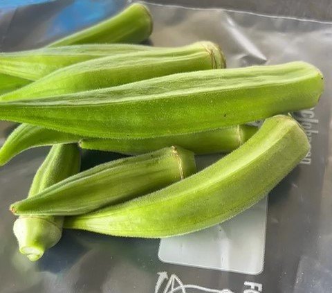 okra1 Okra