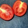 Tomatoes